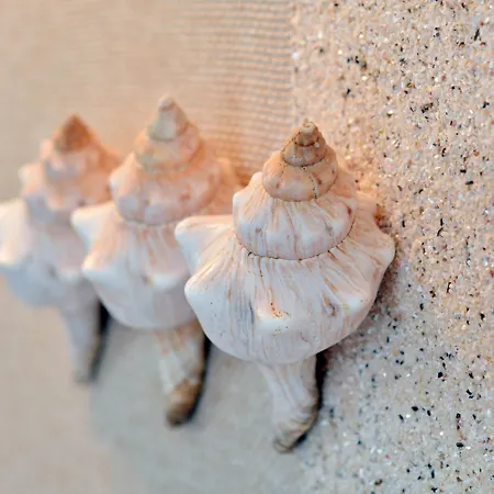 帕拉泽德可索 - 精品酒店 酒店 5*