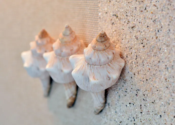 Palazzo Del Corso - Boutique Otel 5*